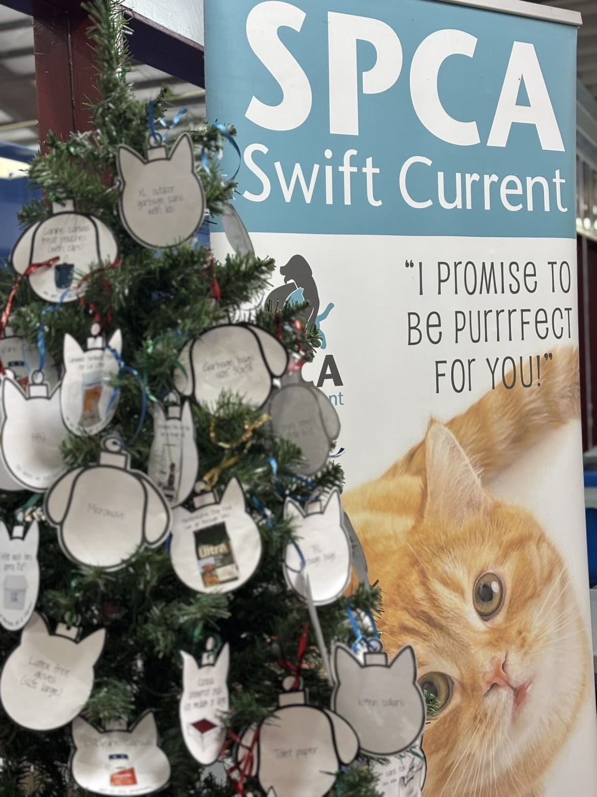 David Zammit, Marissa Wolfe, and Kate Andriushyn pose with the grand total for the 2024 Radiothon, $46,860.