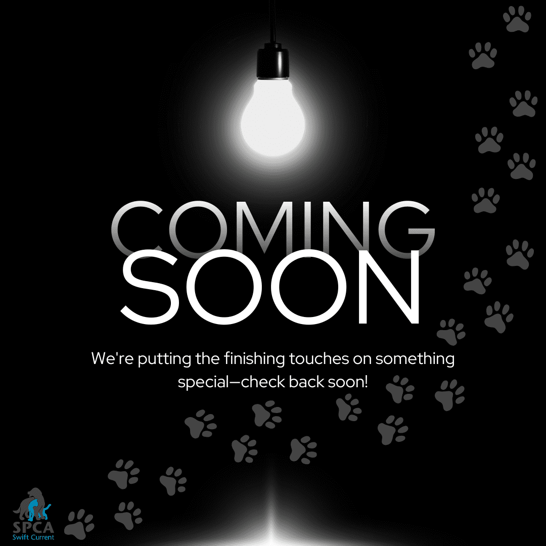 David Zammit, Marissa Wolfe, and Kate Andriushyn pose with the grand total for the 2024 Radiothon, $46,860.